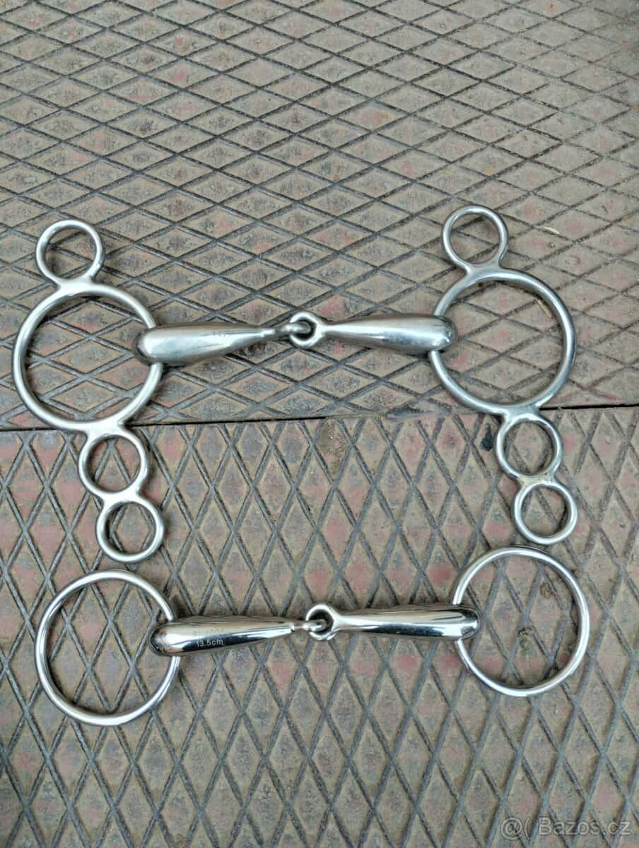 Anglická uzdečka 1