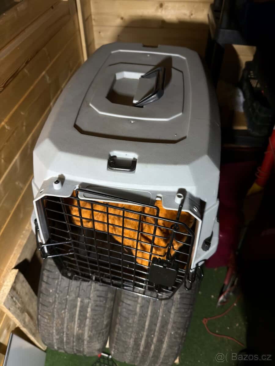 Přepravka pro psy 1