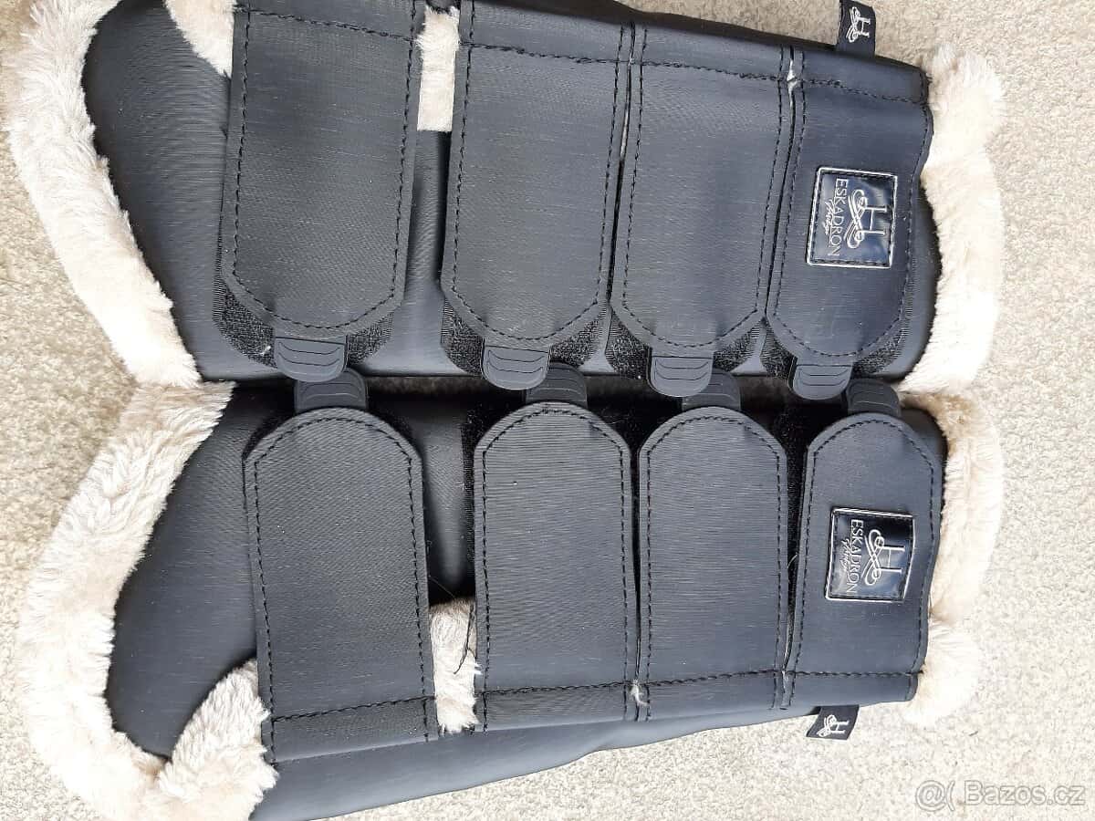 Eskadron chrániče 6