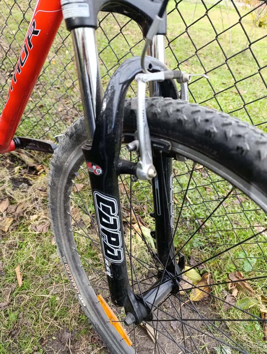 AUTHOR Basic - horské kolo 3