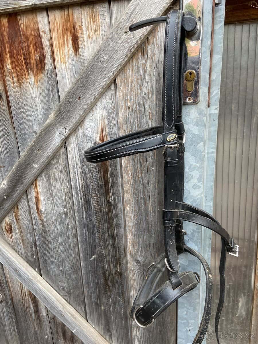 Obnosek, hackamore 2