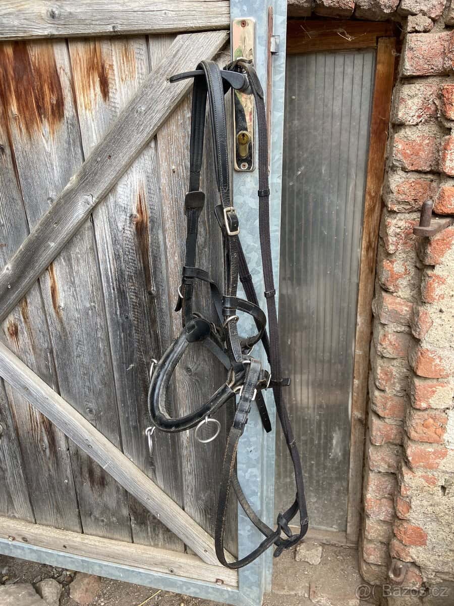Obnosek, hackamore 4