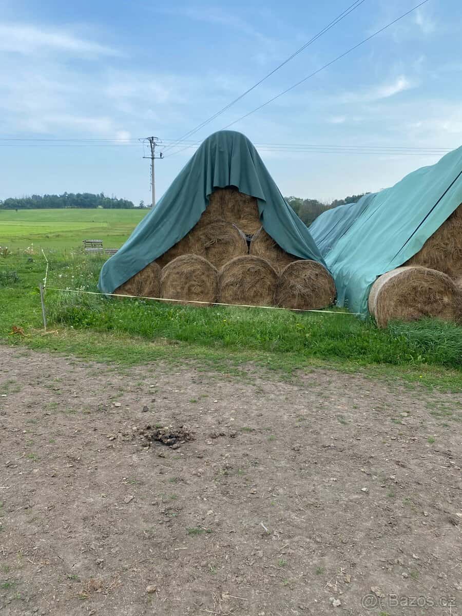 Prodám seno 2