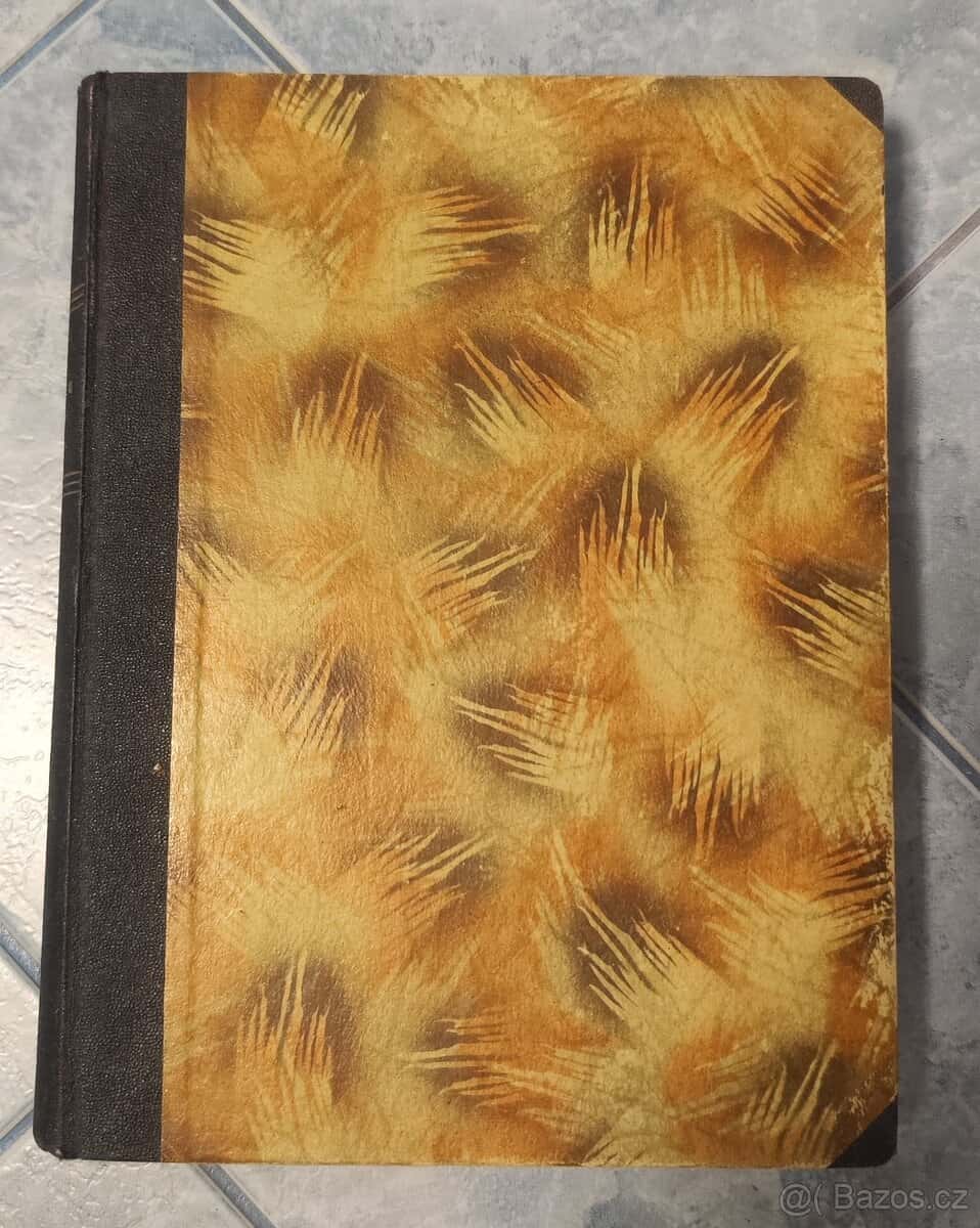 Orlík _ Viktor Bibl 2