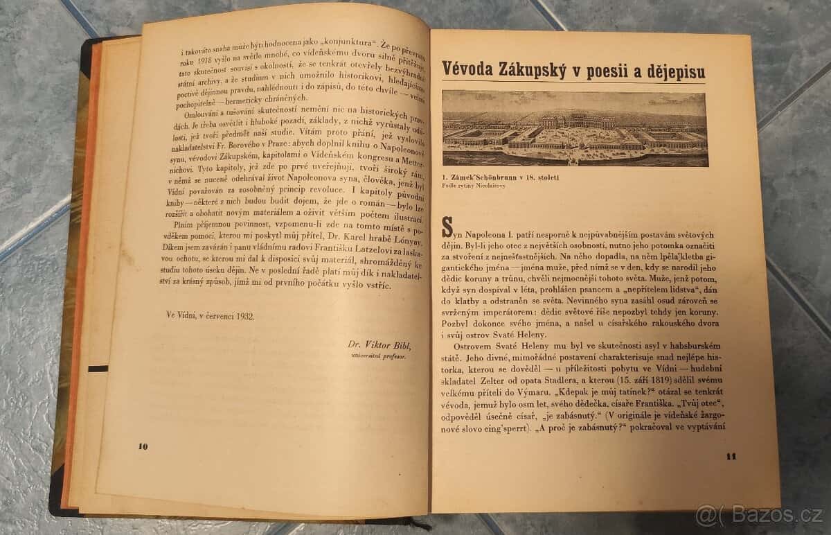 Orlík _ Viktor Bibl 6