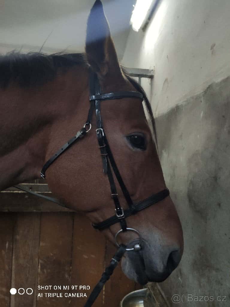 Biothane černá uzdečka 2