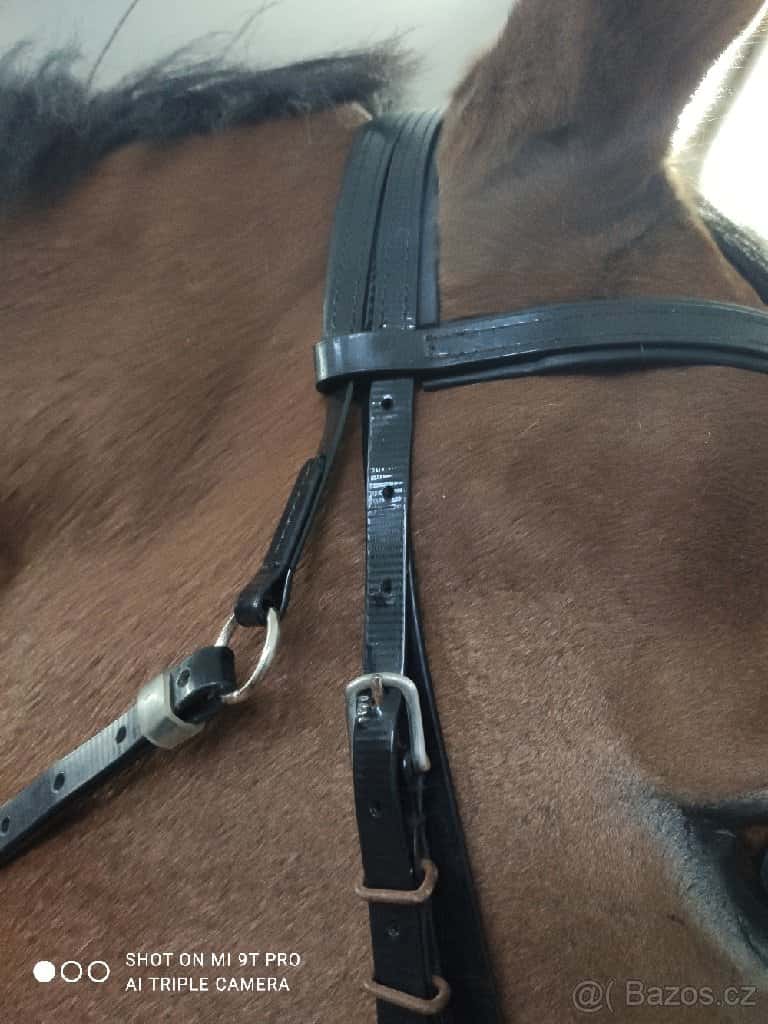 Biothane černá uzdečka 4