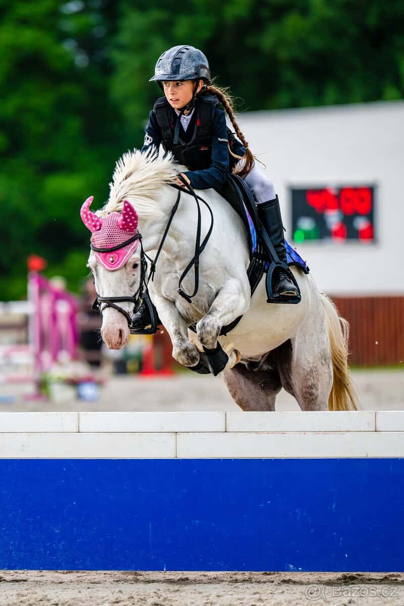 Pony valach kat. A 5