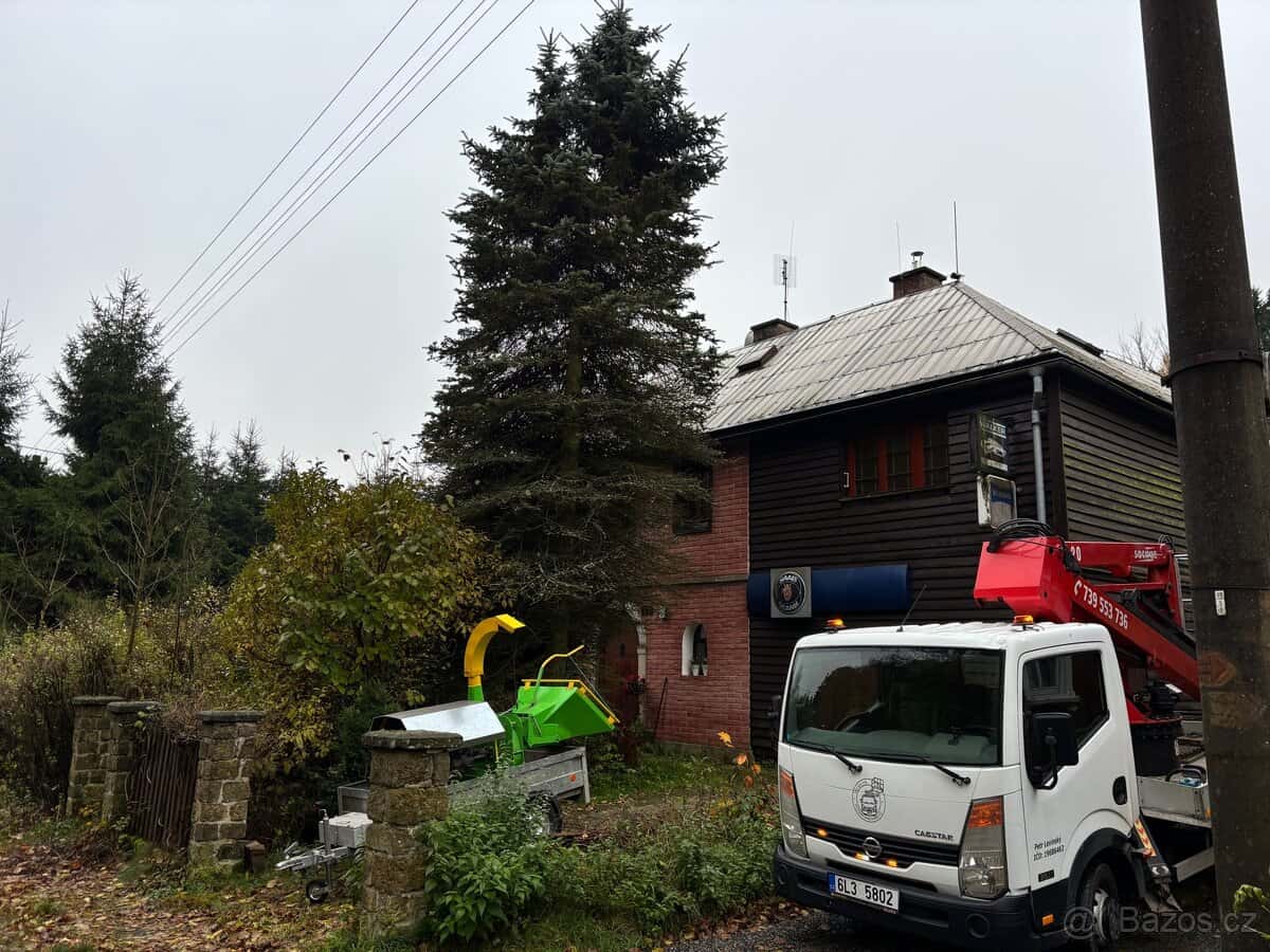 Kácení stromů 2