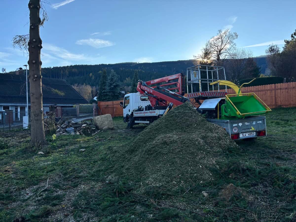 Kácení stromů 7