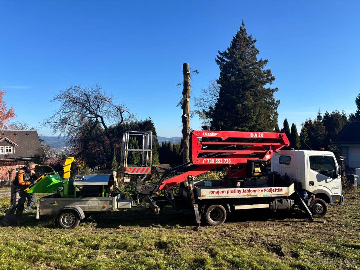 Kácení stromů 8
