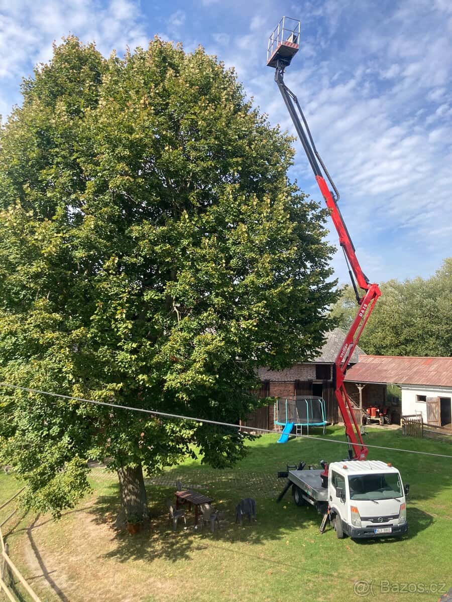 Kácení stromů 10