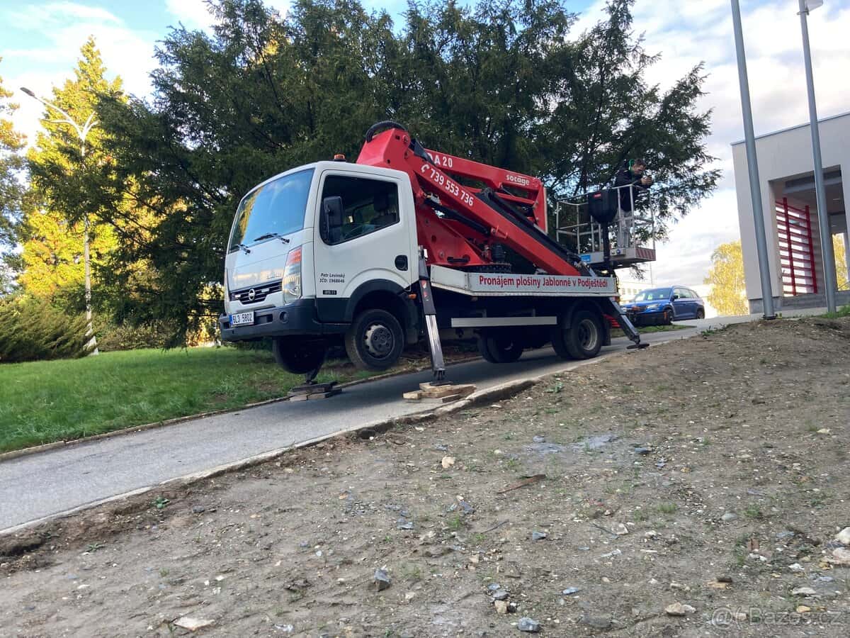 Kácení stromů 11