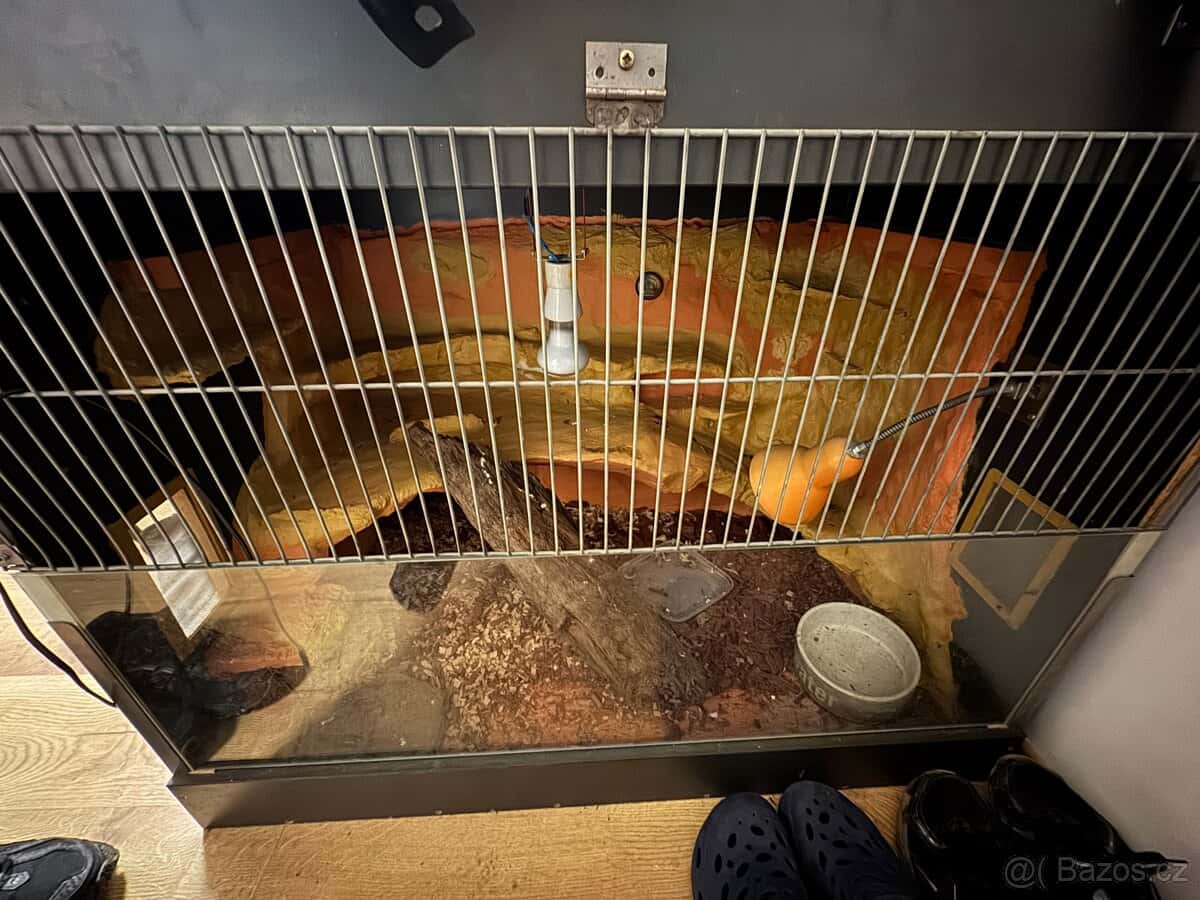 Terárium na Ještěra 3