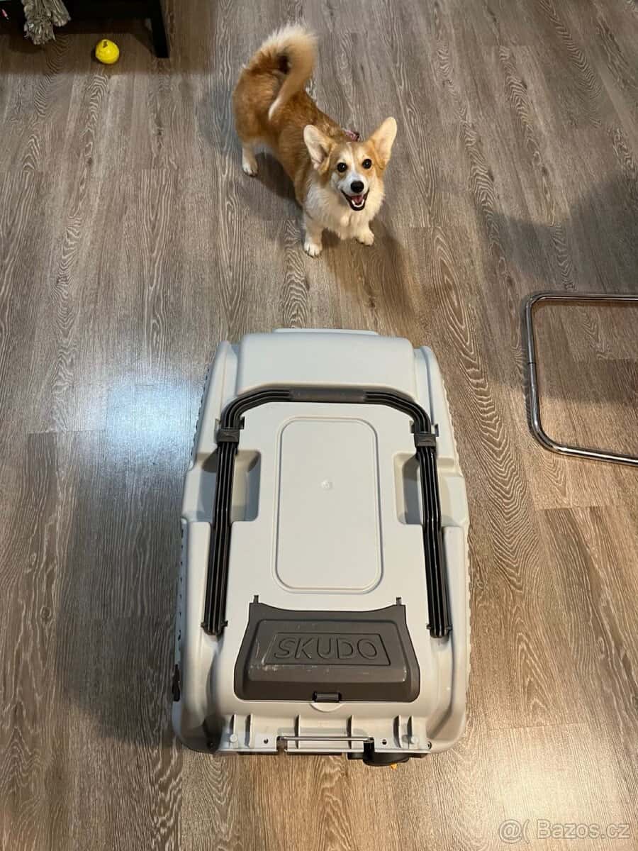 Přepravka pro psa/kočku 3