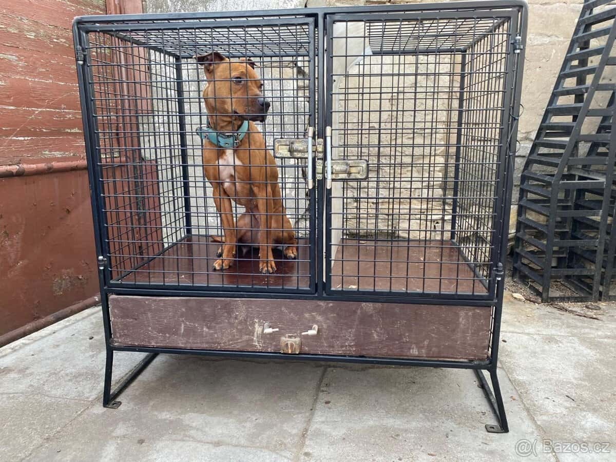 Klec pro psy 1