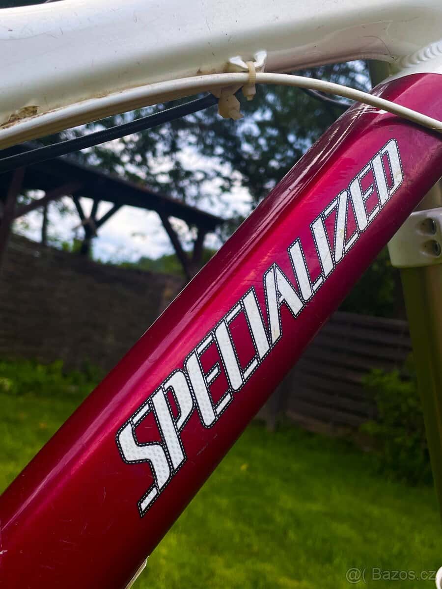 Specialized demo 8 5