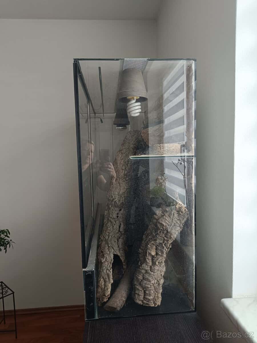 Prodám terárium 2