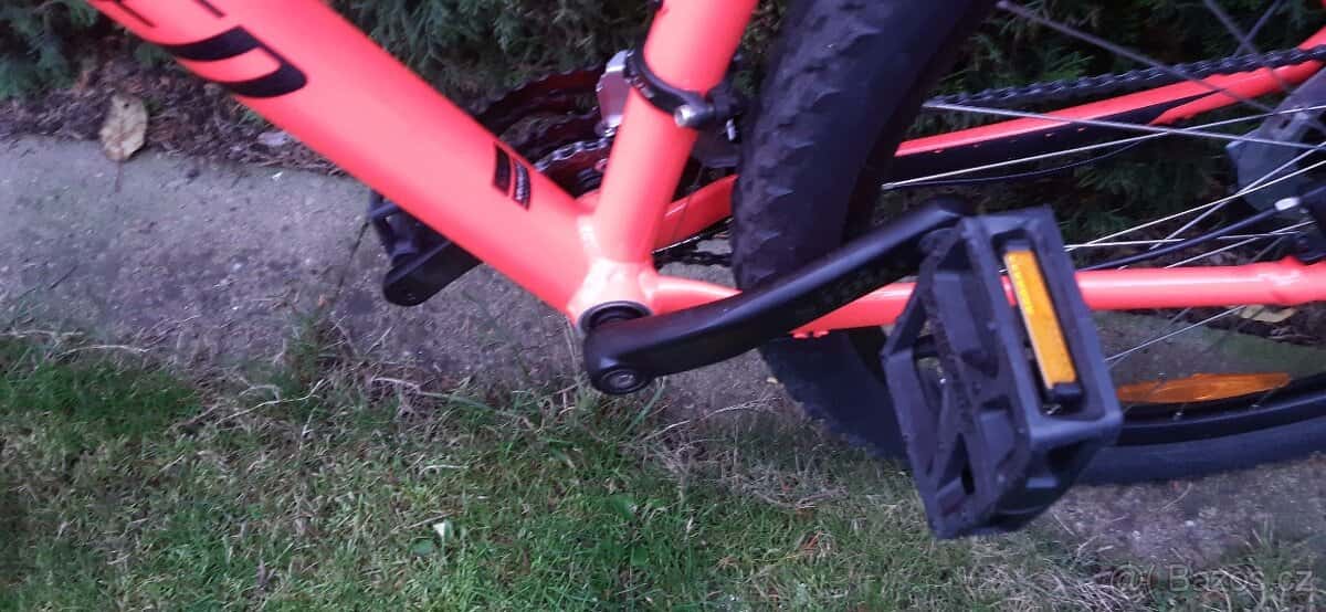 Specialized Rockhopper 29 3