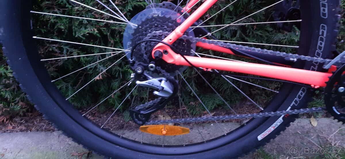 Specialized Rockhopper 29 7