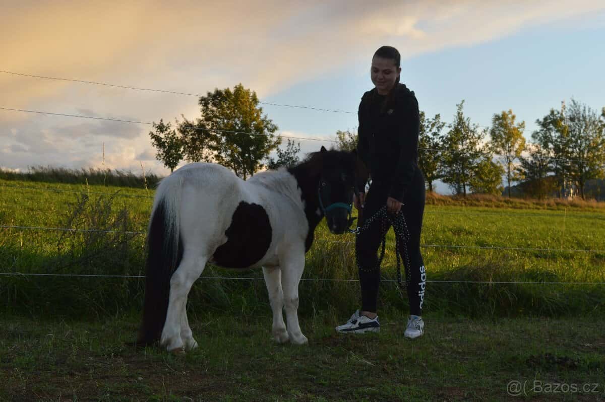 Prodej Pony 3
