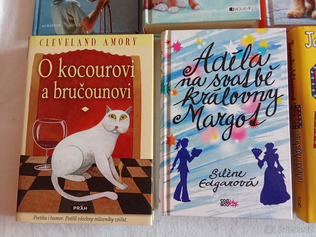 Knihy pro dívky 6