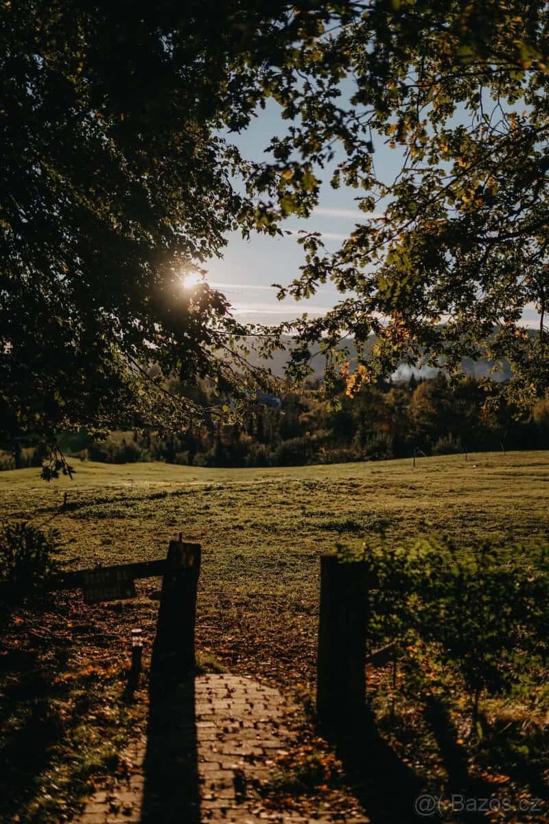 Chata u lesa, srub 10