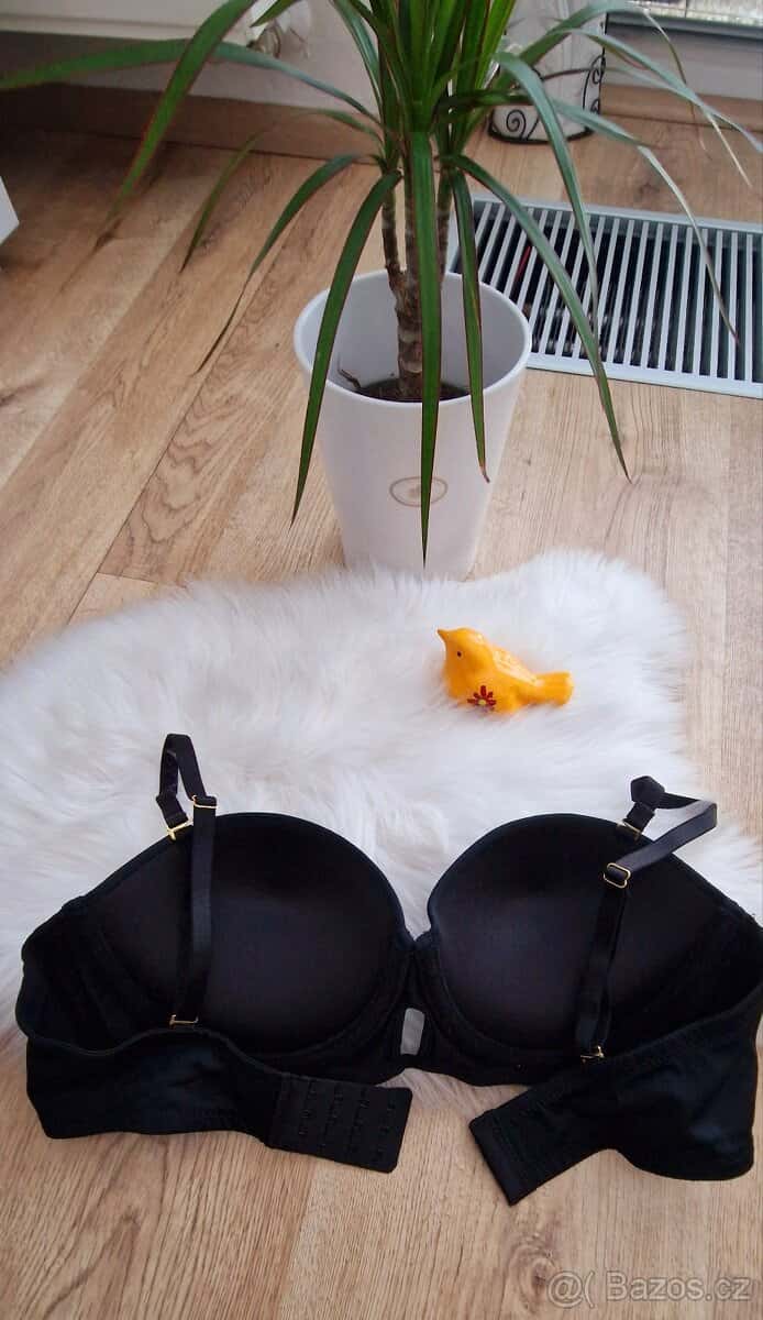 Nová podprsenka 3