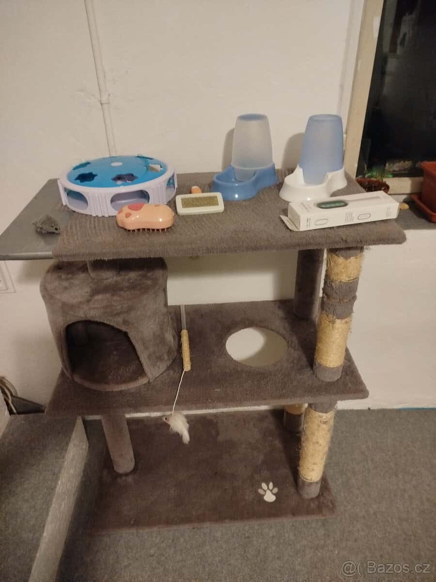 Sada pro koťátko 2