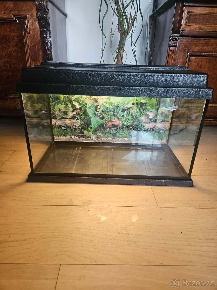 Akvárium 63x33 cm 2