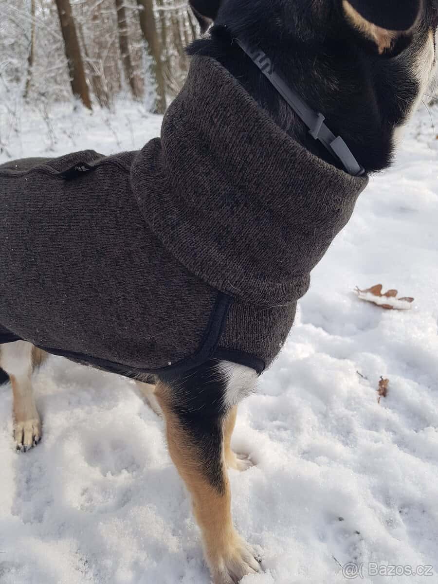 Psí obleček 4