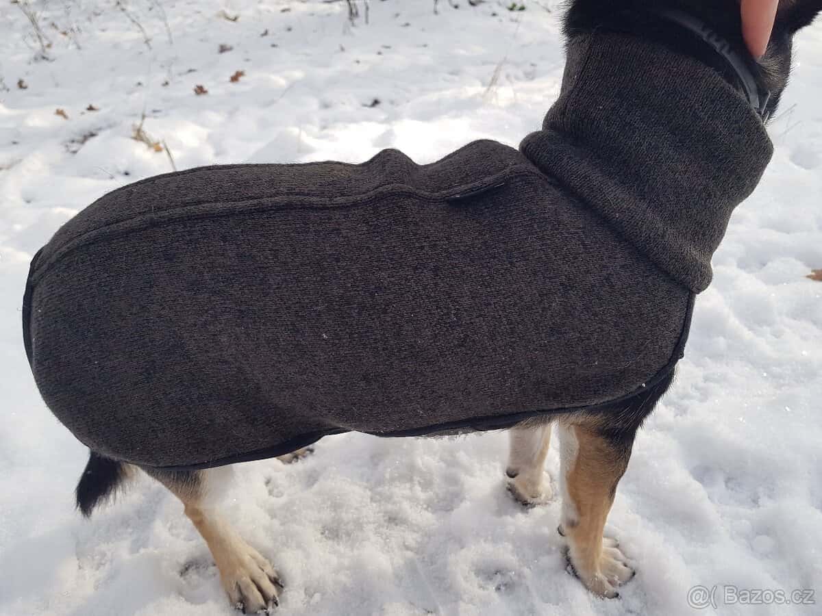 Psí obleček 8