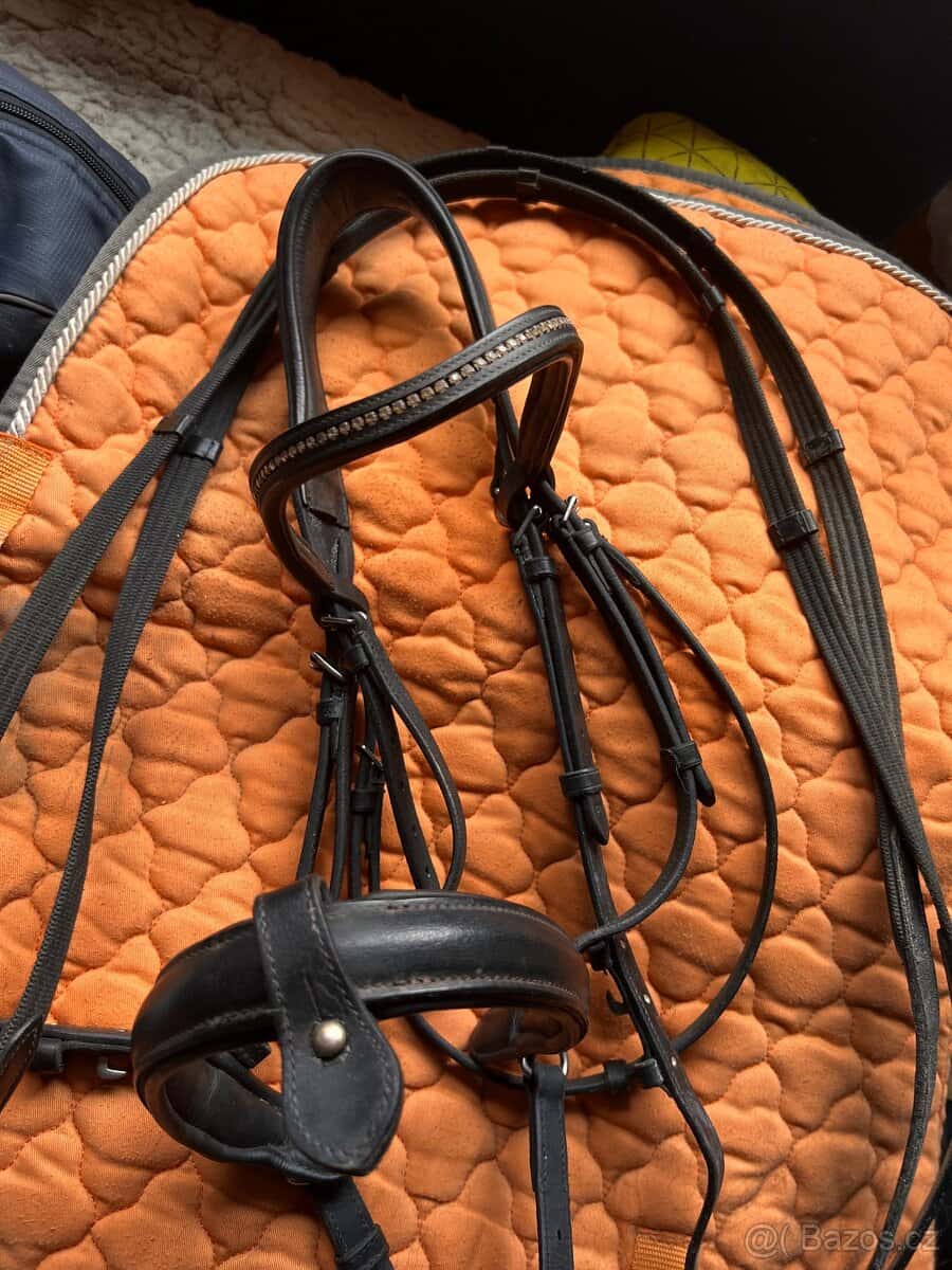 Uzdečky k prodeji 1