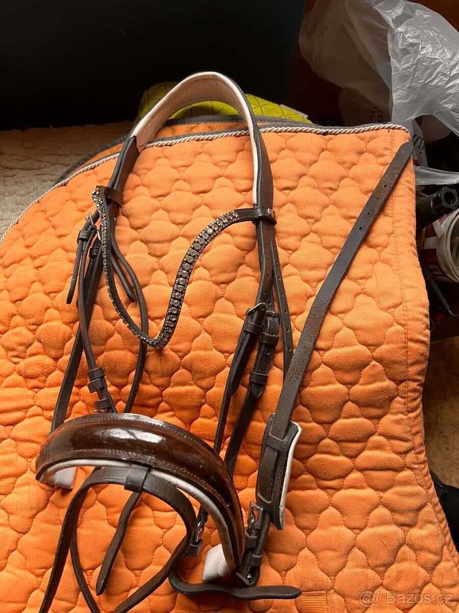 Uzdečky k prodeji 3