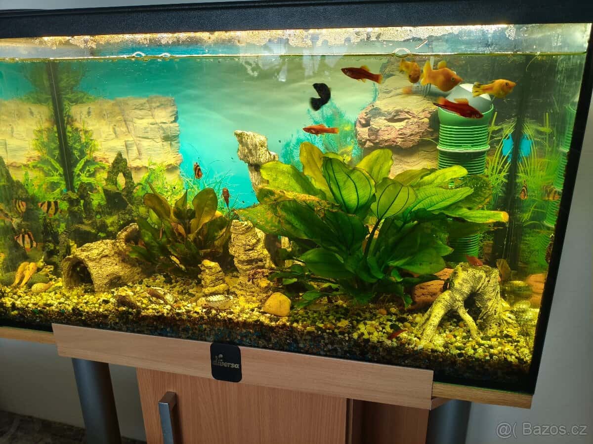 Prodej akvarijního setu 2