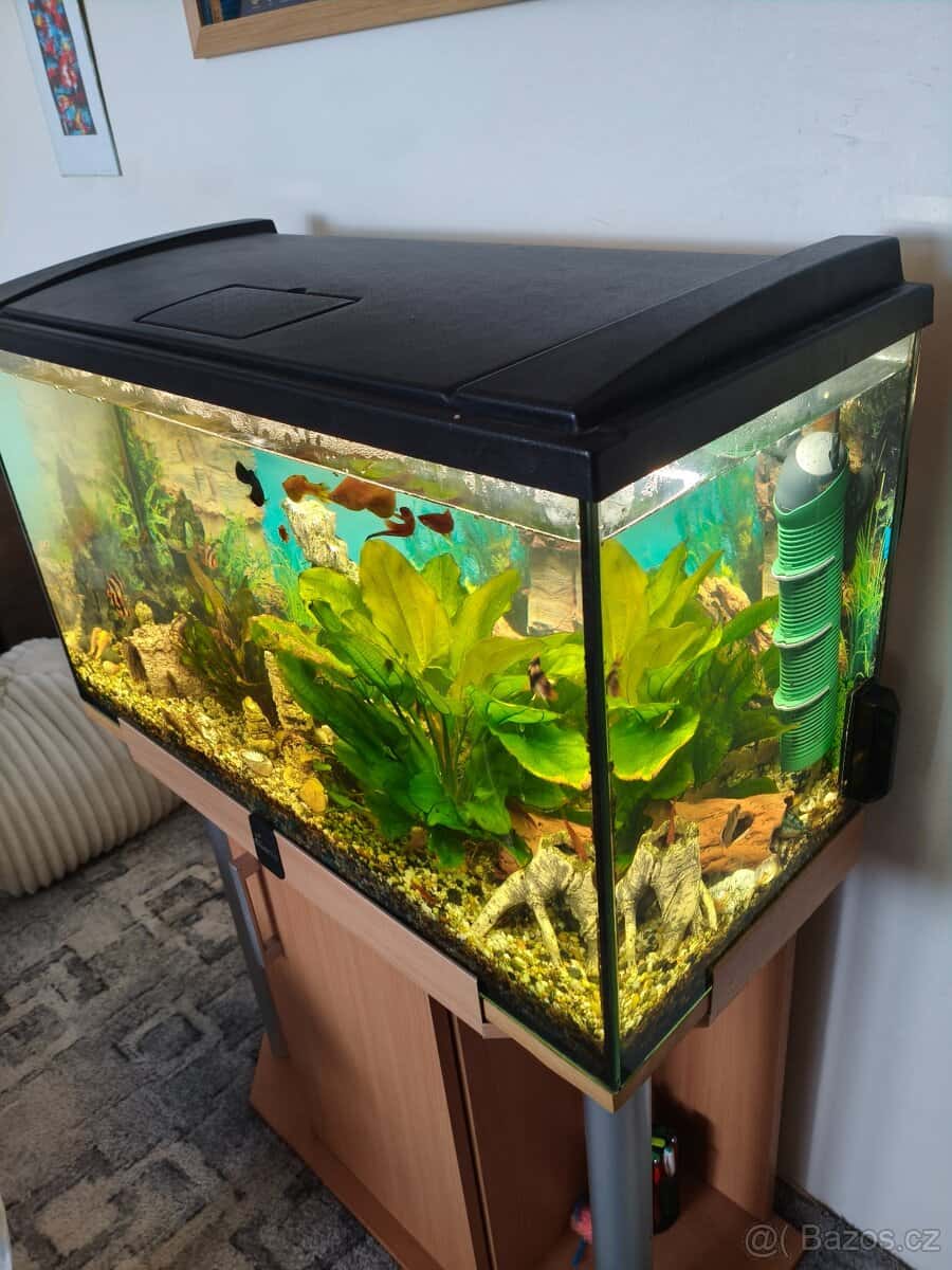 Prodej akvarijního setu 4