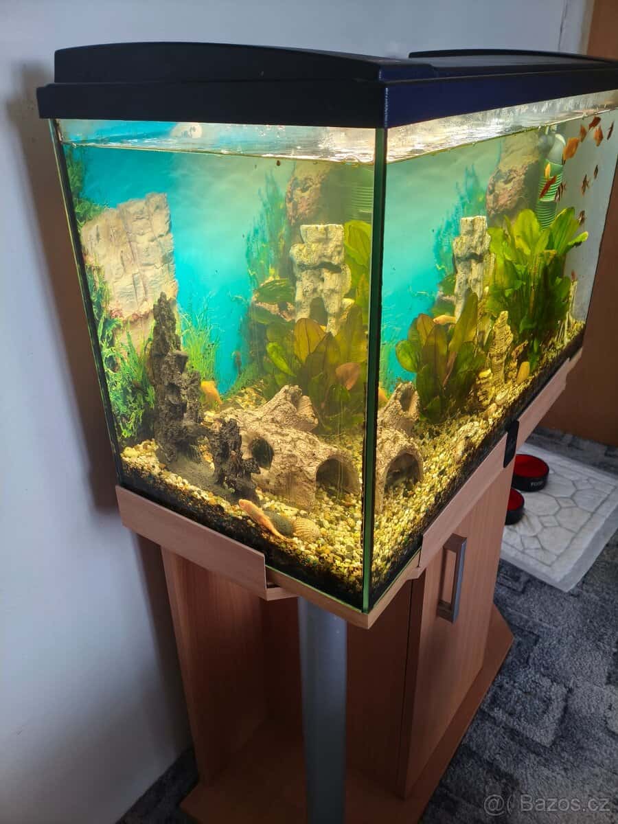 Prodej akvarijního setu 5