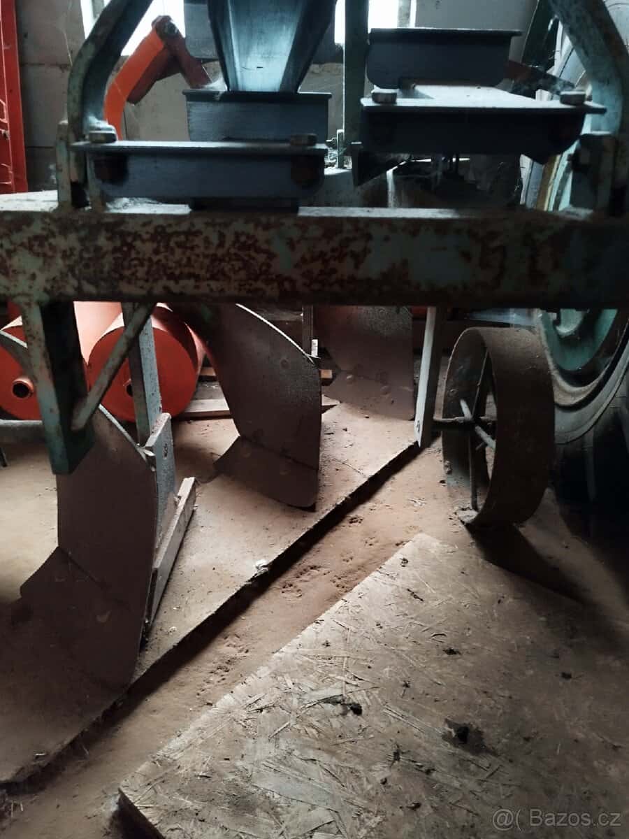 Pluh tříradličný 2