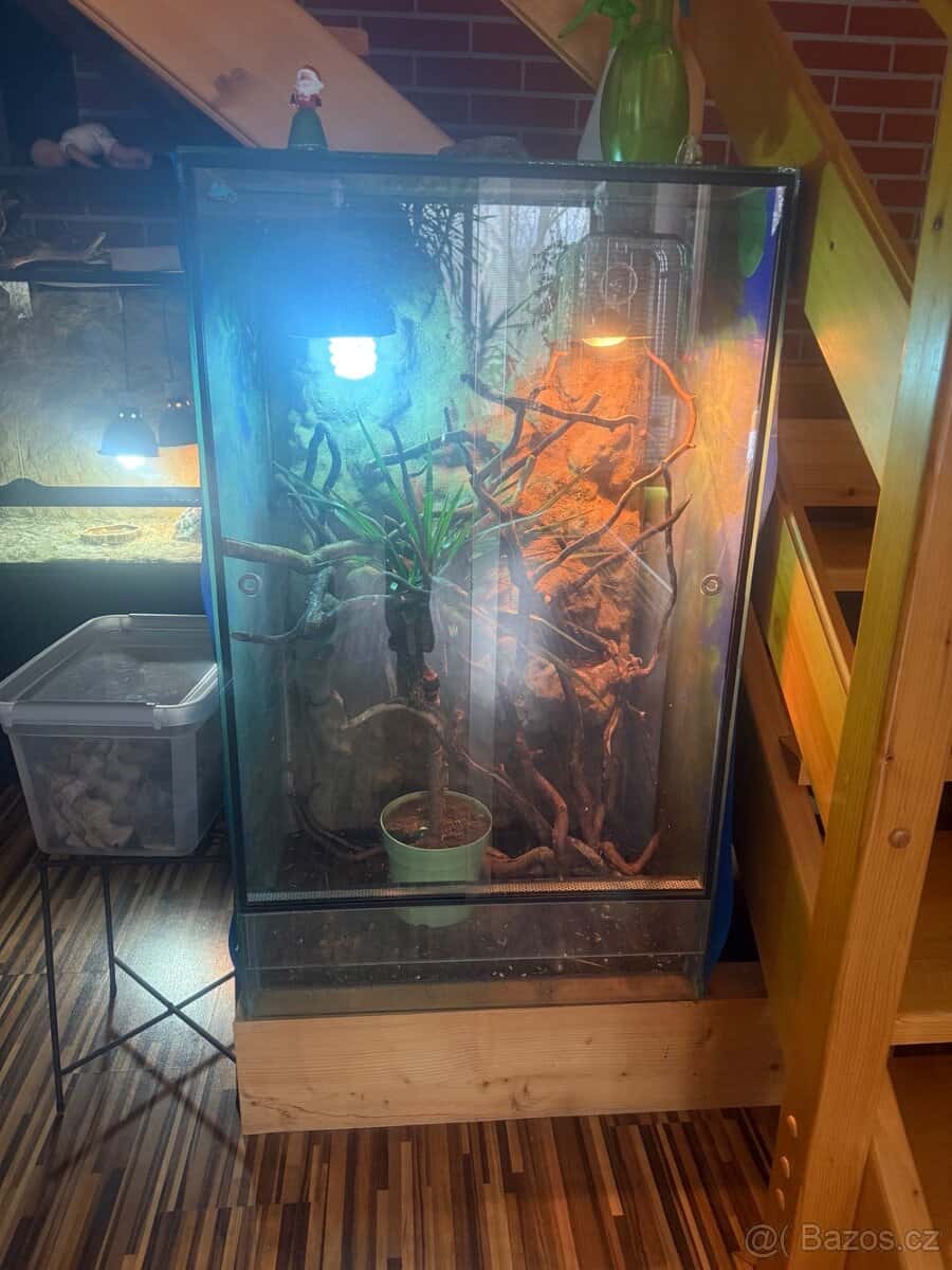 Prodám terárium 2