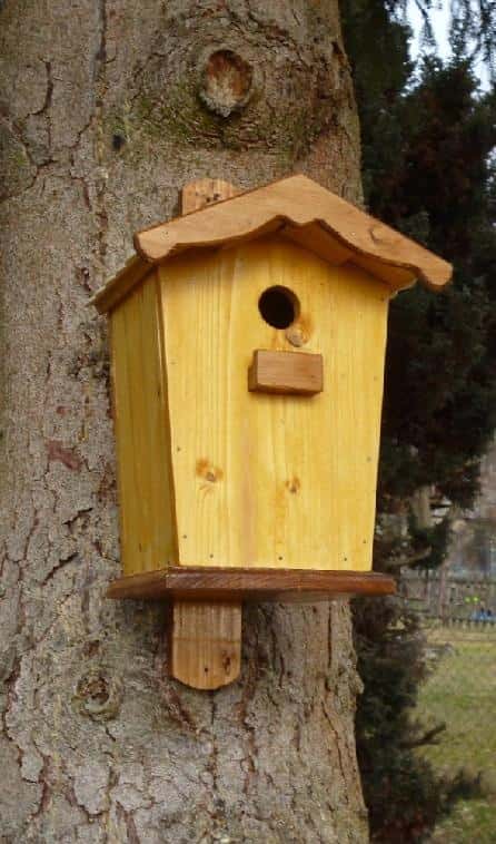 Krmítko pro ptáky 1