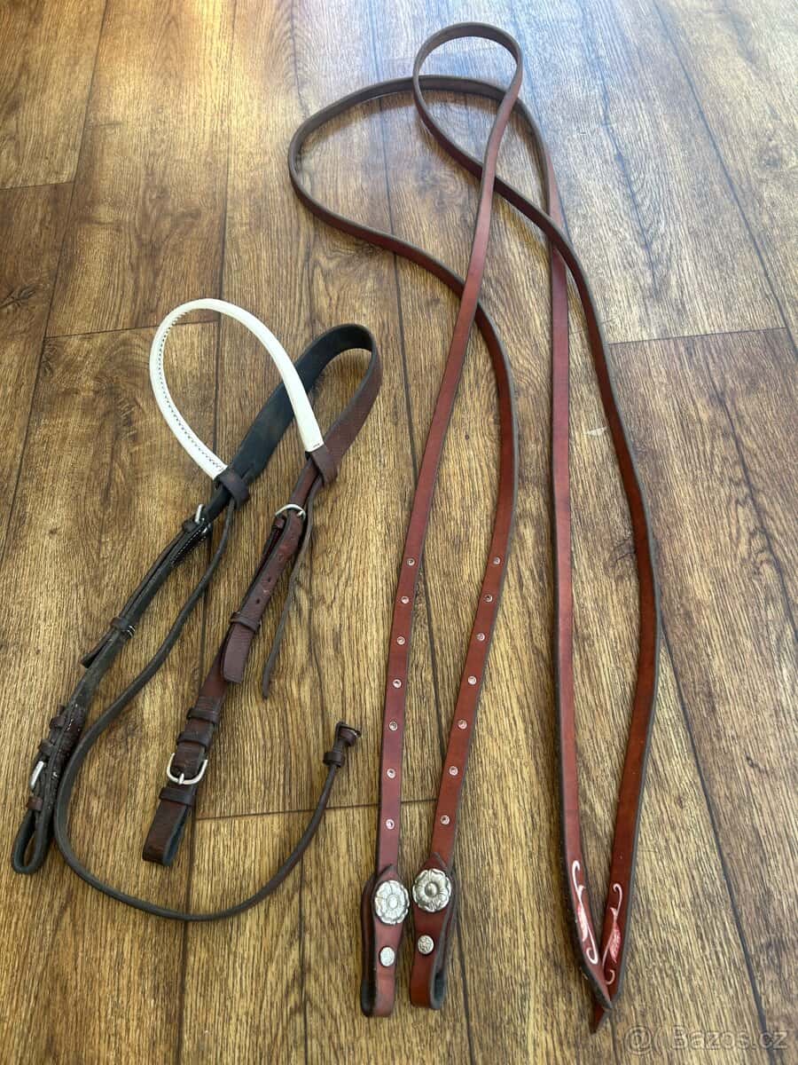 Uzdečka + otěže 2m 1