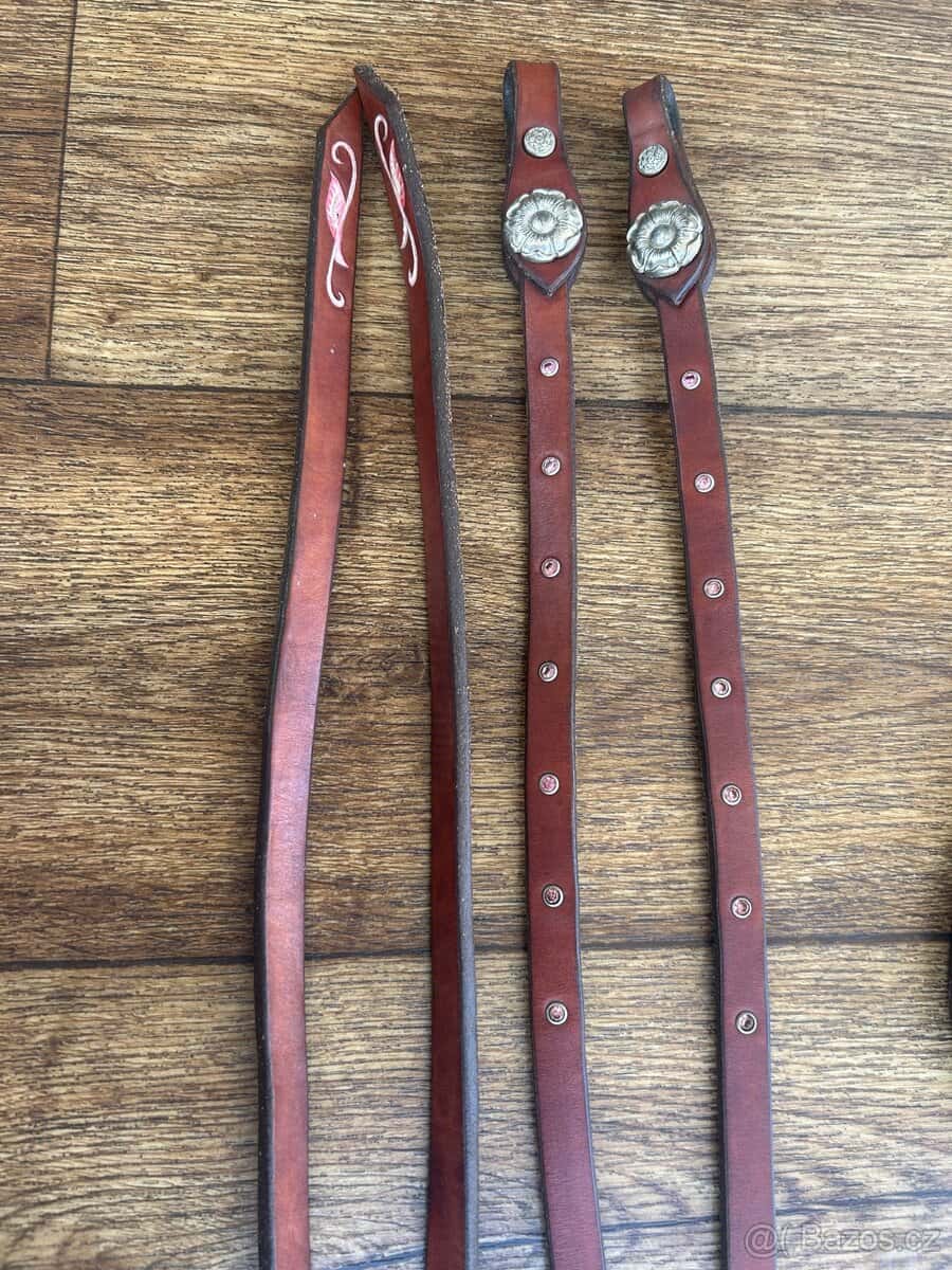 Uzdečka + otěže 2m 3