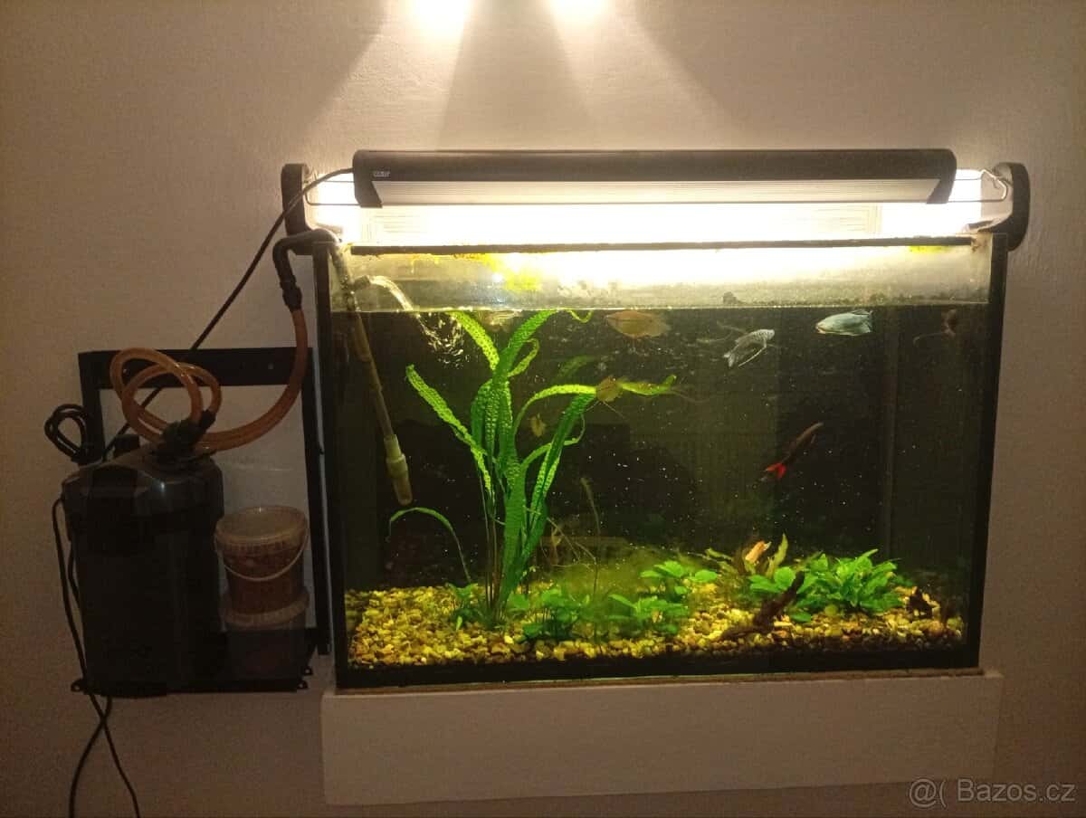 Akvarium 2