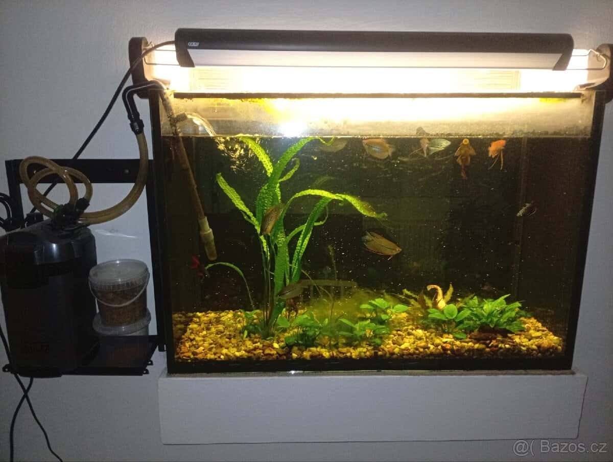 Akvarium 4