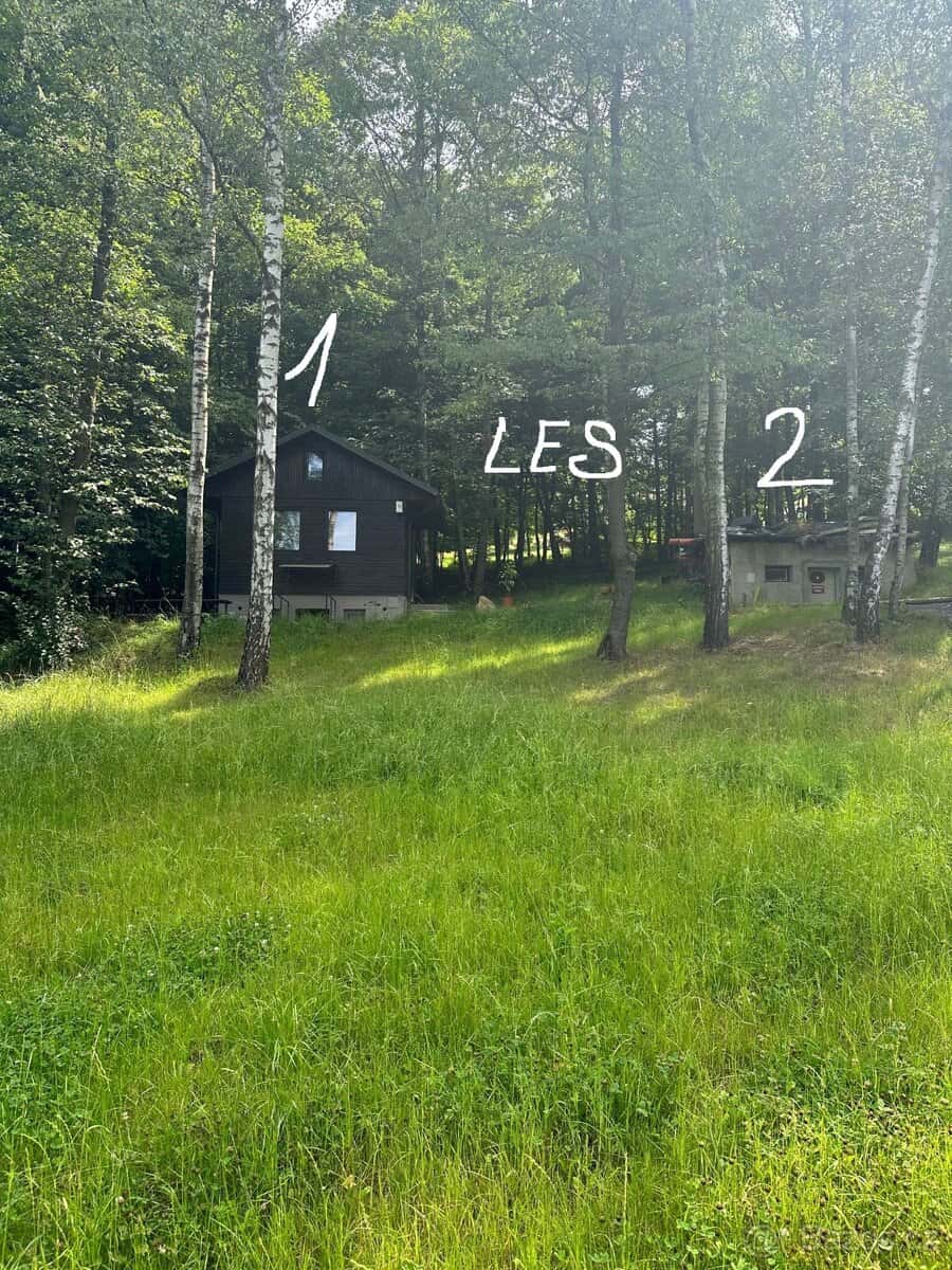 Prodej chaty u lesa 2