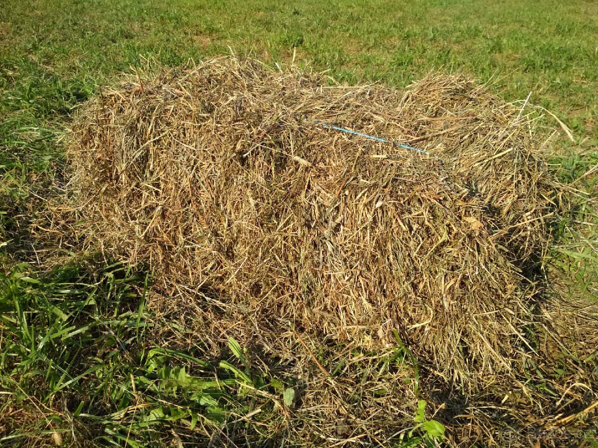 Prodám bio seno 3