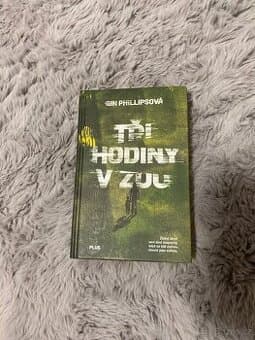 Tři hodiny v ZOO - Gin Phillipsová