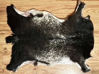 NOVÁ luxusní kozí kůže ručně vyčiněná, černobílá 80x60