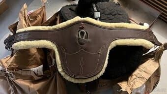 Kentucky podbřišník okopávací s beránkem