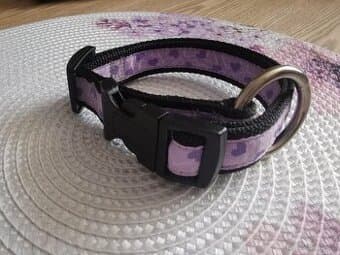 Obojek pro psa nový